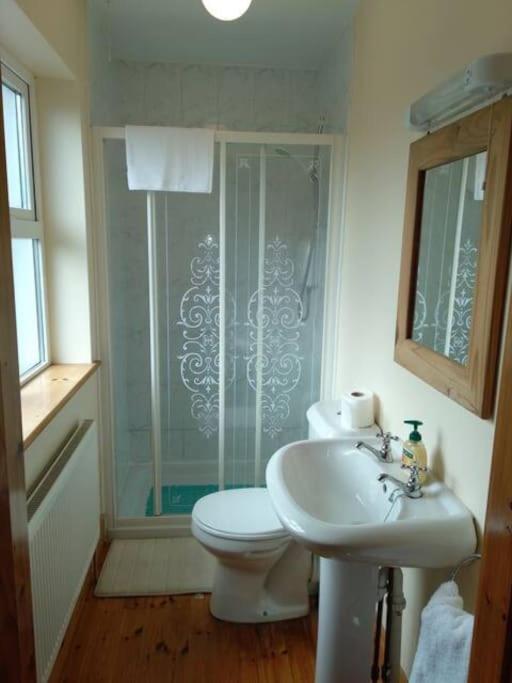 Townhouse 2 Barrow Lane Villa Carlow Eksteriør billede